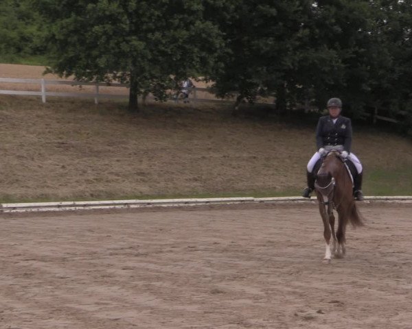 Reitturnier Vlotho-Exter 2019