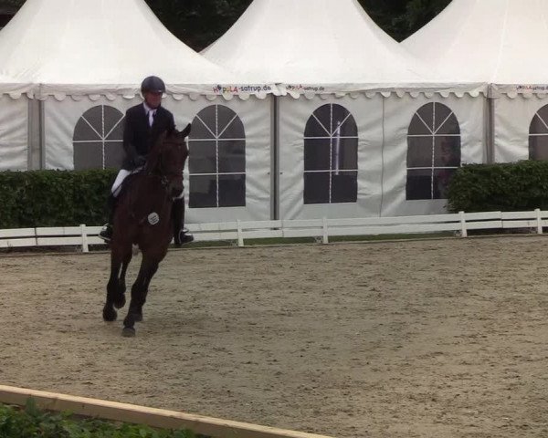 Reitturnier Hörup 2019