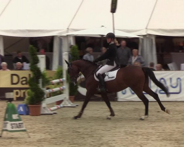 Reitturnier Hörup 2019