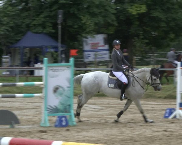 Reitturnier Herbern 2019