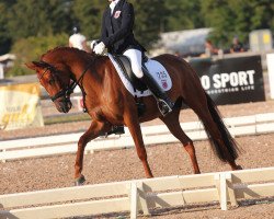 dressage horse Ine 2 (German Riding Pony, 2007, from Constantin)