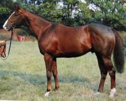 stallion Sweet Revenge xx (Thoroughbred, 1967, from Compensation xx)