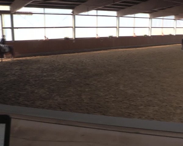 Reitturnier Herbern 2019