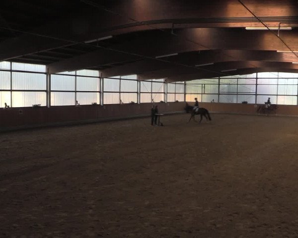 Reitturnier Herbern 2019