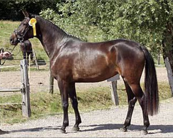 Zuchtstute Donaukristall (Trakehner, 2008, von Herzkristall)