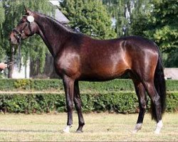 broodmare Donaudelta (Trakehner, 2013, from Silvermoon)