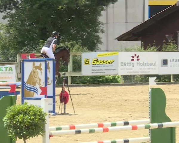 Reitturnier Dagmersellen 2019