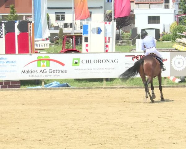 Reitturnier Dagmersellen 2019