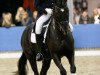 dressage horse Accountancy Ultimo (KWPN (Royal Dutch Sporthorse), 2001, from Welt Hit II)