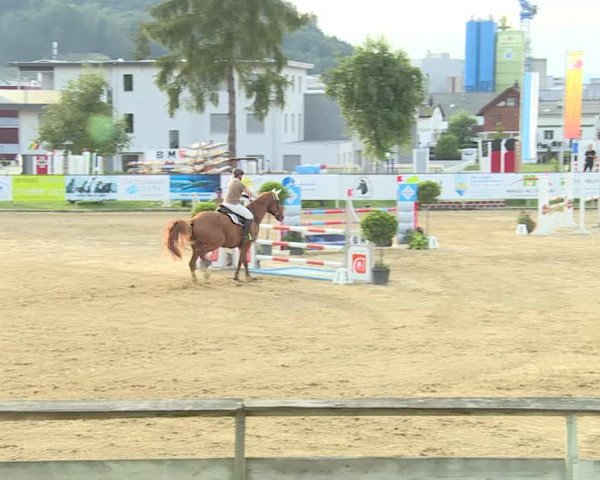 Reitturnier Dagmersellen 2019