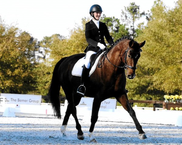 dressage horse Heinrich von Küsten (Hanoverian, 2014, from Heinrich Heine)