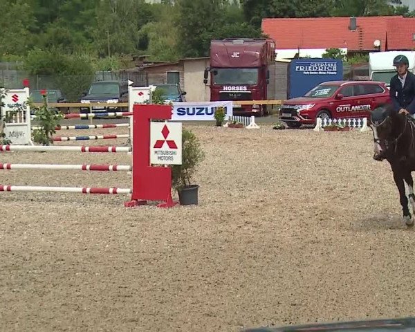 Reitturnier Kleinostheim/Ufr. 2019