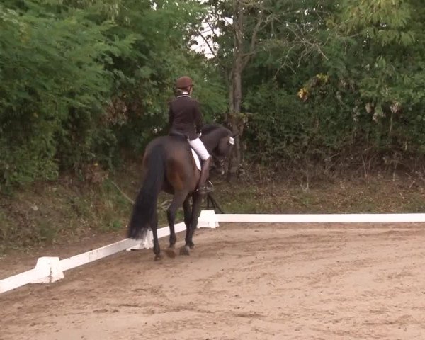 Reitturnier Kleinostheim/Ufr. 2019