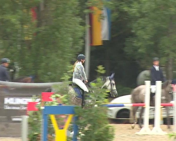 Reitturnier Kleinostheim/Ufr. 2019