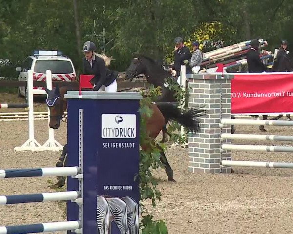 Reitturnier Kleinostheim/Ufr. 2019