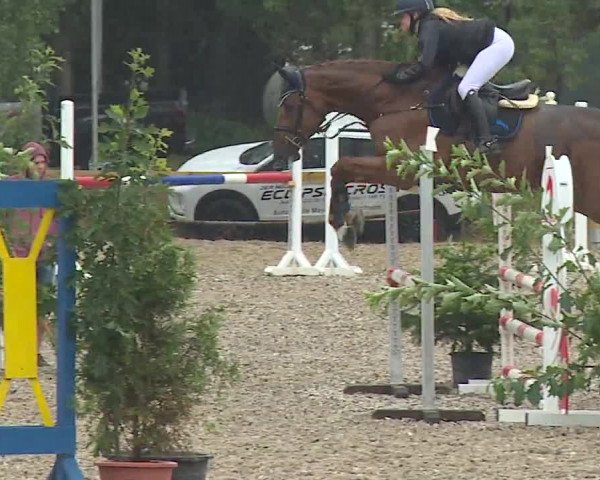 Reitturnier Kleinostheim/Ufr. 2019