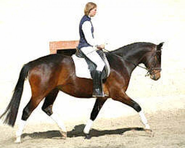 Pferd Galvani (Trakehner, 2002, von Alter Fritz)