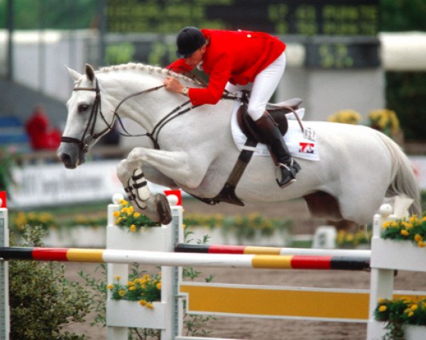 stallion Mr Blue (KWPN (Royal Dutch Sporthorse), 1988, from Couperus)