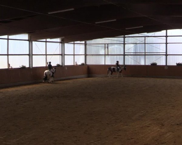Reitturnier Herbern 2019