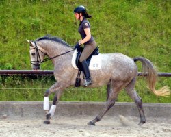 Springpferd Tilly 30 (Trakehner, 2009, von Leonidas)