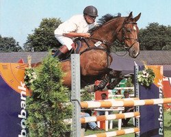 broodmare Inan-Toltien (KWPN (Royal Dutch Sporthorse), 1990, from Voltaire)