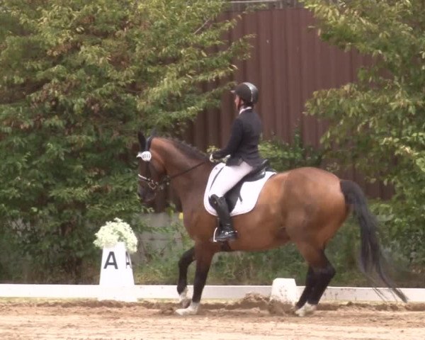 Reitturnier Kleinostheim/Ufr. 2019