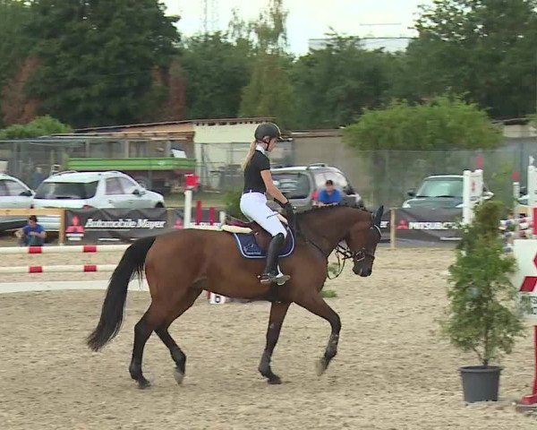 Reitturnier Kleinostheim/Ufr. 2019