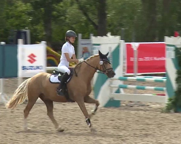 Reitturnier Kleinostheim/Ufr. 2019