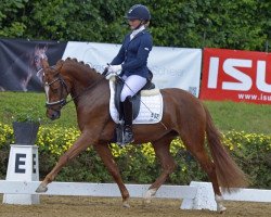 Dressurpferd Equinox Heartbeat (Deutsches Reitpony, 2013, von Dimension AT NRW)