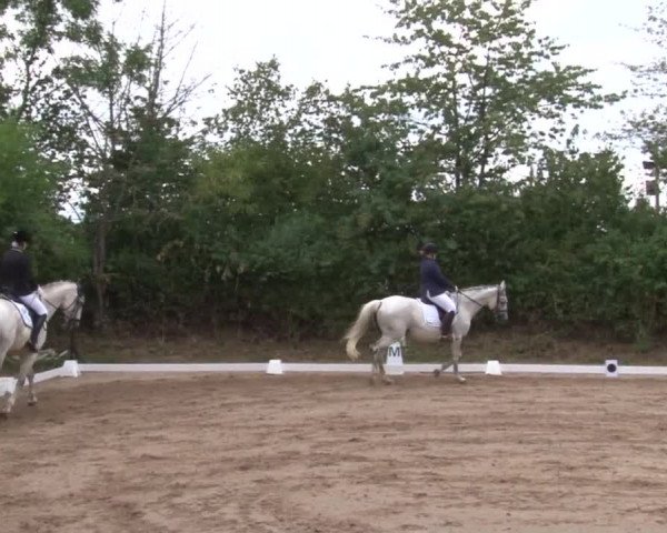 Reitturnier Kleinostheim/Ufr. 2019
