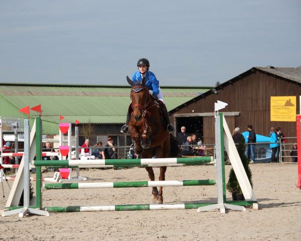 Dressurpferd Incerto (Spanisches Sportpferd, 2011, von Le Tôt de Semilly)