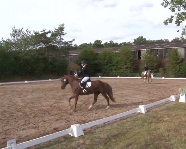 Reitturnier Kleinostheim/Ufr. 2019