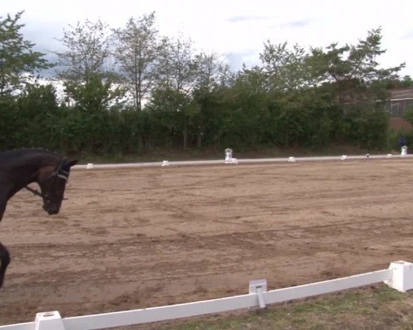 Reitturnier Kleinostheim/Ufr. 2019