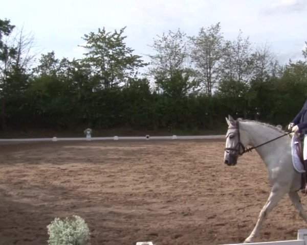 Reitturnier Kleinostheim/Ufr. 2019