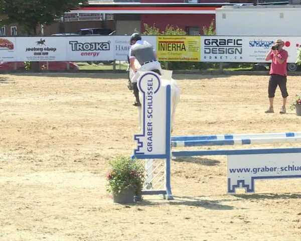 Reitturnier Dagmersellen 2019