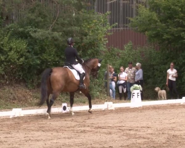 Reitturnier Kleinostheim/Ufr. 2019