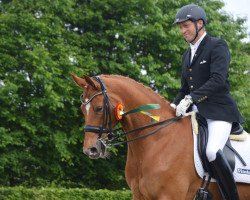 dressage horse Leonidas 139 (Hanoverian, 2005, from Lauries Crusador xx)