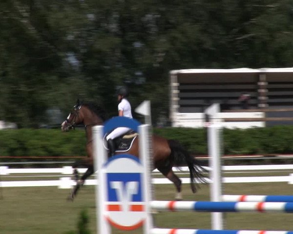 Reitturnier Heide 2019