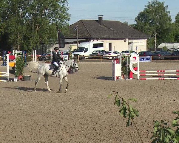 Reitturnier Kleinostheim/Ufr. 2019