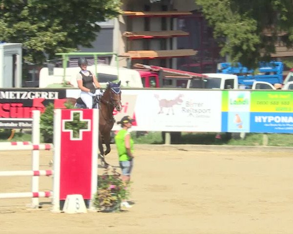 Reitturnier Dagmersellen 2019