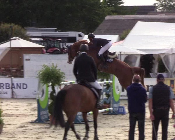 Reitturnier Hörup 2019