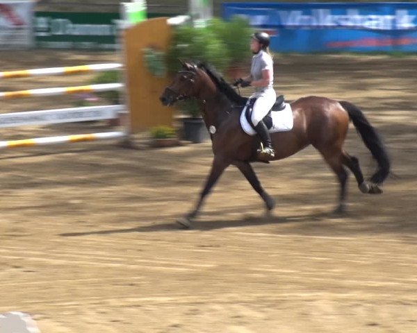 Reitturnier CSN Calvörde 2019