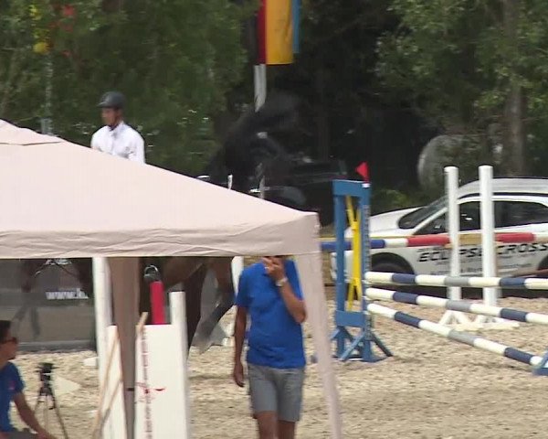 Reitturnier Kleinostheim/Ufr. 2019