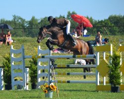 jumper Diatano (Oldenburg show jumper, 2009, from Diarado)