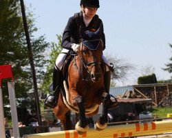 broodmare Campyna (German Riding Pony, 2004, from Pamir ox)