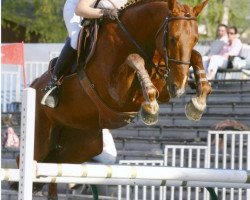 Pferd Odilon de La Marsange (Selle Français, 2002, von Apache d'Adriers)