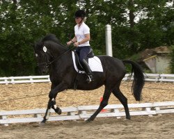 broodmare Thia Maria M (KWPN (Royal Dutch Sporthorse), 2000, from Métall)