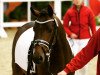 dressage horse Nightley's Naidoo (German Riding Pony, 2013, from Fehkamps Nightley)