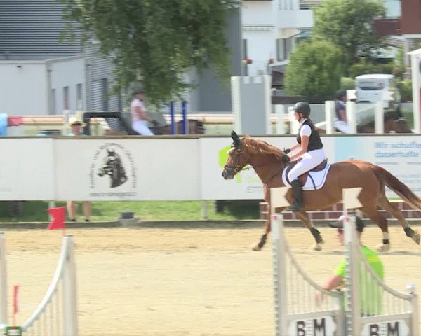 Reitturnier Dagmersellen 2019