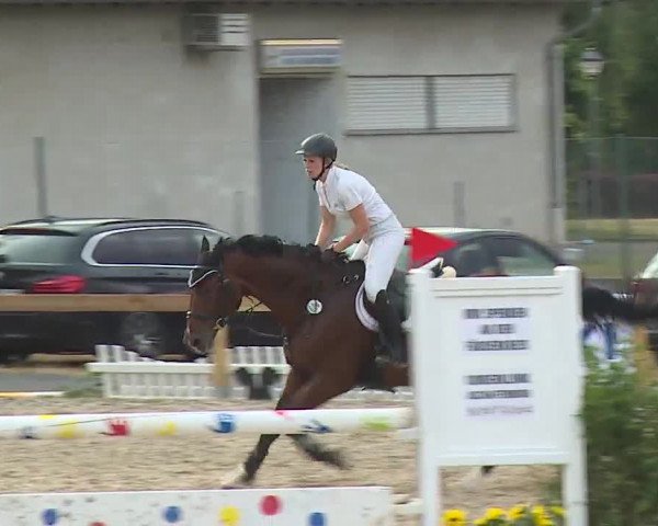 Reitturnier Kleinostheim/Ufr. 2019
